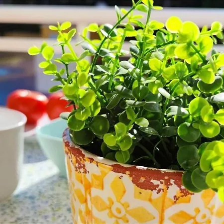 Apartment El Sueno Ii